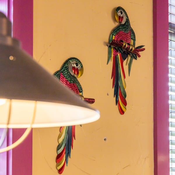 Two colorful parrot wall decorations on a yellow wall, with a lamp and window blinds in the foreground.