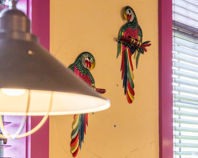 Two colorful parrot wall decorations on a yellow wall, with a lamp and window blinds in the foreground.